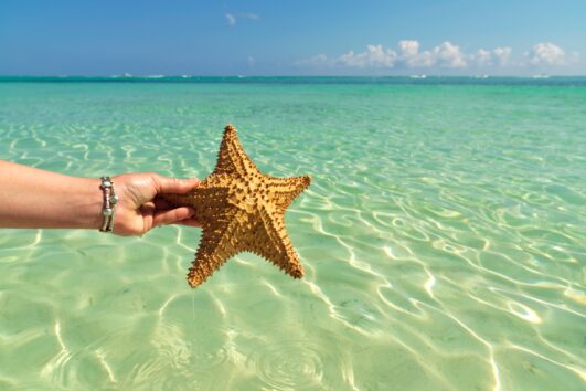 Remate Mayo en Pta. Cana