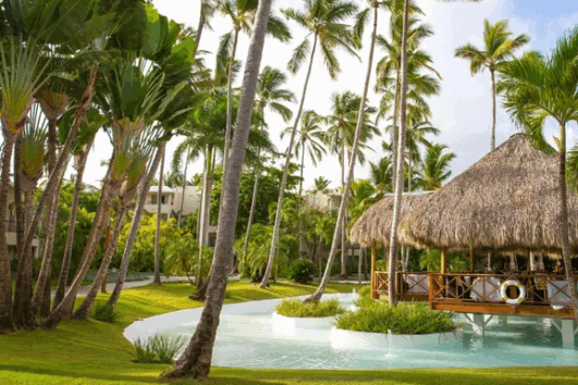 Mayo en Impressive Premium