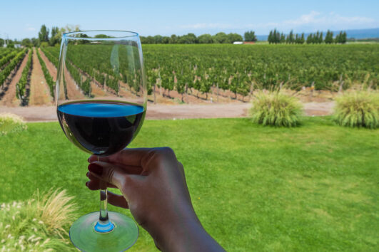 Escápate a Hilton Mendoza